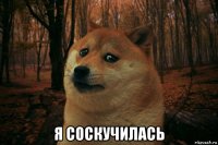  я соскучилась