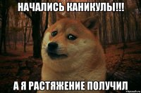 начались каникулы!!! а я растяжение получил