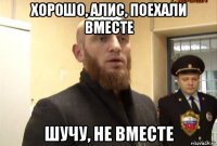 хорошо, алис, поехали вместе шучу, не вместе