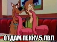  отдам пекку 5 лвл