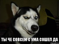 Ты че совсем с ума сошел да