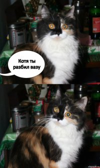 Котя ты разбил вазу