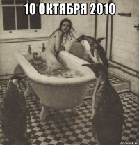 10 октября 2010 