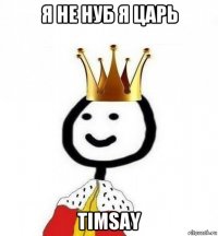 я не нуб я царь timsay