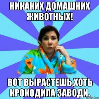 никаких домашних животных! вот вырастешь,хоть крокодила заводи.