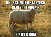 вы всё ещё питаетесь кенгурятиной ? я иду к вам