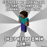 сделал дом нет одного блока заставил блоком пришел домой нет другого блока эндер не пород мой дом!!!!