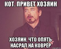 кот. привет хозяин хозяин. что опять насрал на коврёр