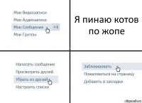 Я пинаю котов по жопе