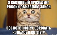 я как новый призедент россии объявляю закон все коты могут воровать колбасу и котлету