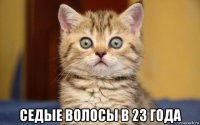  седые волосы в 23 года