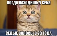 когда находишь у себя седые волосы в 23 года