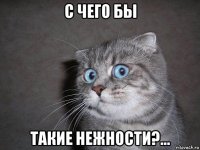 с чего бы такие нежности?...