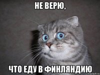 не верю, что еду в финляндию