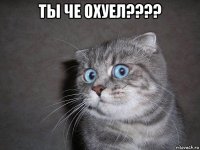 ты че охуел???? 