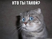 кто ты такой? 