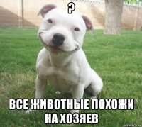 ? все животные похожи на хозяев