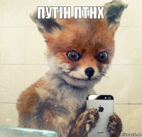 Путін ПТНХ