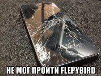  не мог пройти flepybird