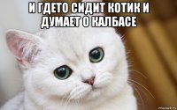 и гдето сидит котик и думает о калбасе 