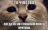 то чувство когда ну уж слишком много критики