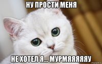 ну прости меня не хотел я... мурмяяяяяу