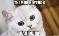 ты мой котенок надюшка