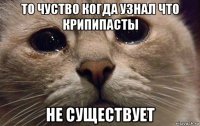 то чуство когда узнал что крипипасты не существует