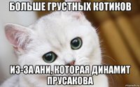 больше грустных котиков из-за ани, которая динамит прусакова