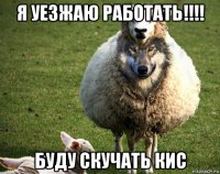 я уезжаю работать!!!! буду скучать кис