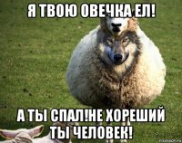 я твою овечка ел! а ты спал!не хореший ты человек!