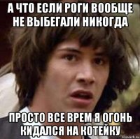 а что если роги вообще не выбегали никогда просто все врем я огонь кидался на котейку