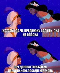 [Kazaam] да че вреднюку садить, она не опасна [Вреднюка] to[Kazaam] правильною.посади иерехона