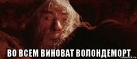  во всем виноват волондеморт