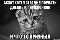 асхат хотел сегодня порвать дневных пирожочков и что-то приуныл