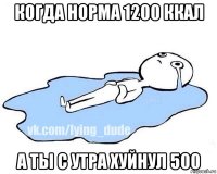 когда норма 1200 ккал а ты с утра хуйнул 500