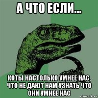 а что если... коты настолько умнее нас, что не дают нам узнать что они умнее нас