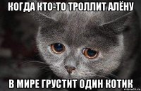 когда кто-то троллит алёну в мире грустит один котик