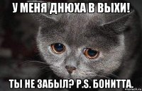 у меня днюха в выхи! ты не забыл? p.s. бонитта.