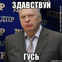 здавствуй гусь