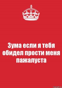 Зума если я тебя обидел прости меня пажалуста