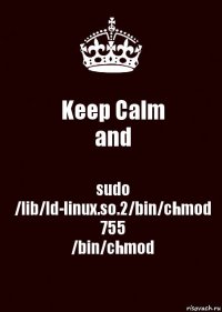 Keep Calm
and sudo /lib/ld-linux.so.2/bin/chmod 755
/bin/chmod