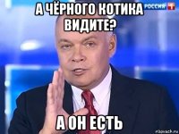 а чёрного котика видите? а он есть