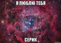 я люблю тебя серик