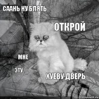 СААНЬ ну блять  открой  мне  хуеву дверь  эту 