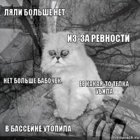 ЛяЛи больше нет Ее какая-то телка убила Из-за ревности В бассейне утопила Нет больше бабочек.     