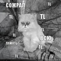 сожрал всю TL TL TL TL TL TL память TL