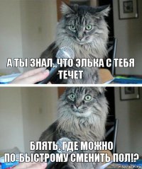 А ты знал, что Элька с тебя течет Блять. Где можно по-быстрому сменить пол!?