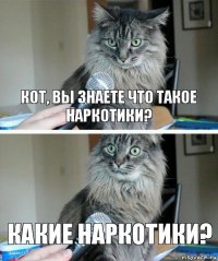 Кот, вы знаете что такое наркотики? Какие наркотики?