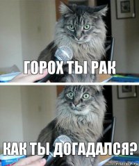 Горох ты рак Как ты догадался?